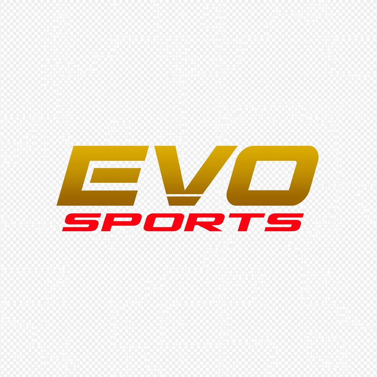 EVO Sports  logo